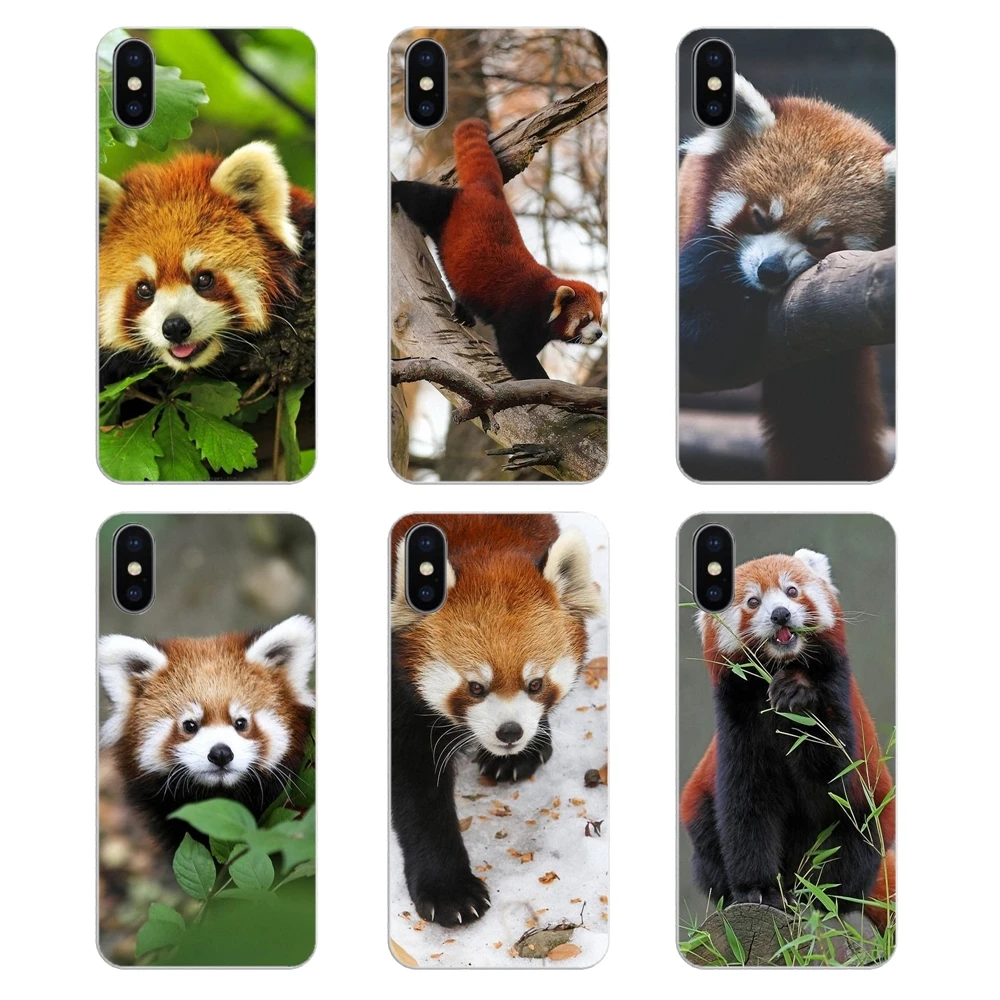 For Samsung Galaxy Note 8 9 S9 S10 A8 A9 Star Lite Plus A6S A9S Red pandas Art Print Poster Soft Transparent Cases Covers |