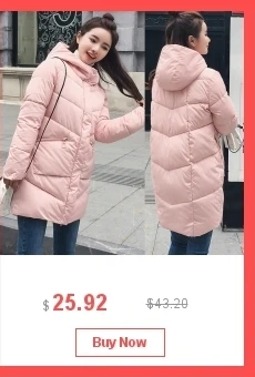 dianxiaobao