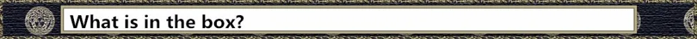 What is in the box