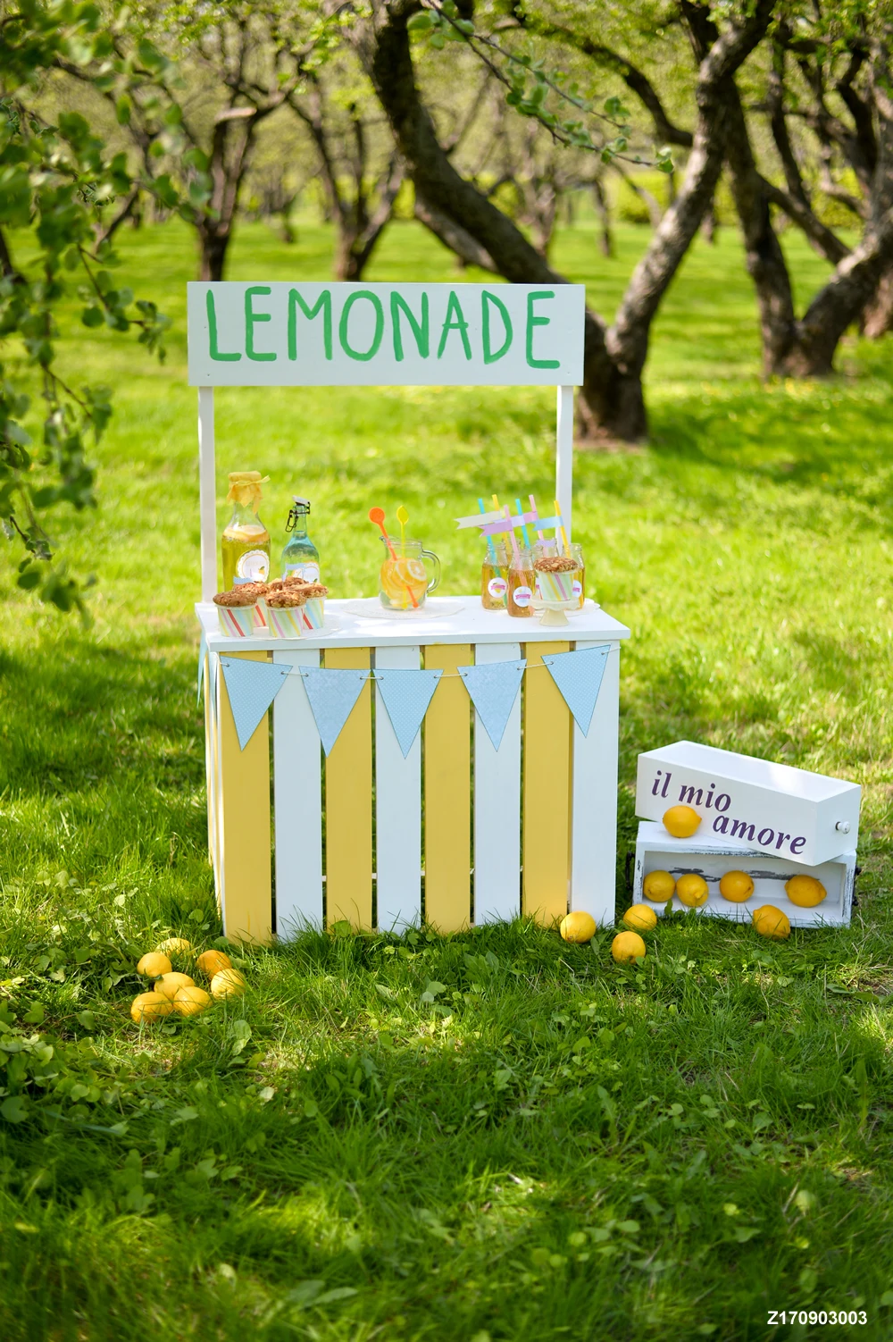 Life Magic Box Vinyl Baby Photo Backdrop Kids Photography Background Party Backdrops Lemon Grassland Photography Background Photo Backdropsbox Vinyl Aliexpress