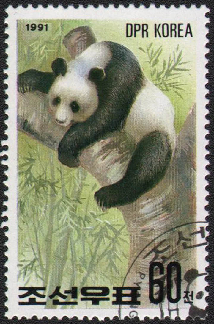 

Panda 1991 DPRK Korea Post Stamps Postage Collection