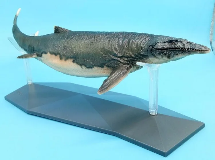 PNSO Mosasaurus 1:35, научная художественная модель с Выставочной подставкой, музейные Классические игрушки динозавров для мальчиков, модель животного, длина 40 см