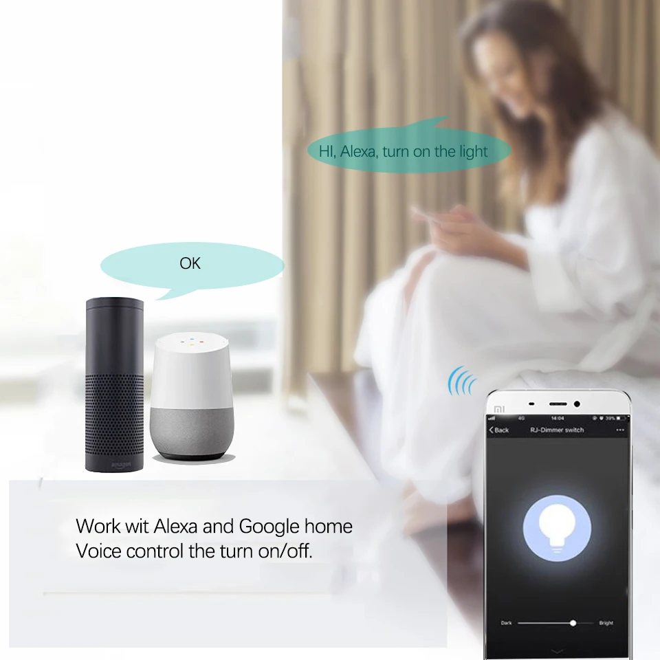 work with Alexa voice control