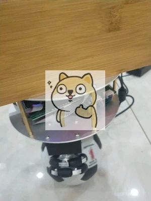US $189.80 Ball balancing robot Single ball Standing ball Sphere Selfbalancing trolley Support secondary development