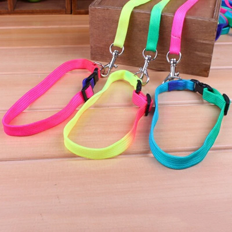 2017 Useful Rainbow Color Pet Small Dog Puppy Collar Leash Soft Walking