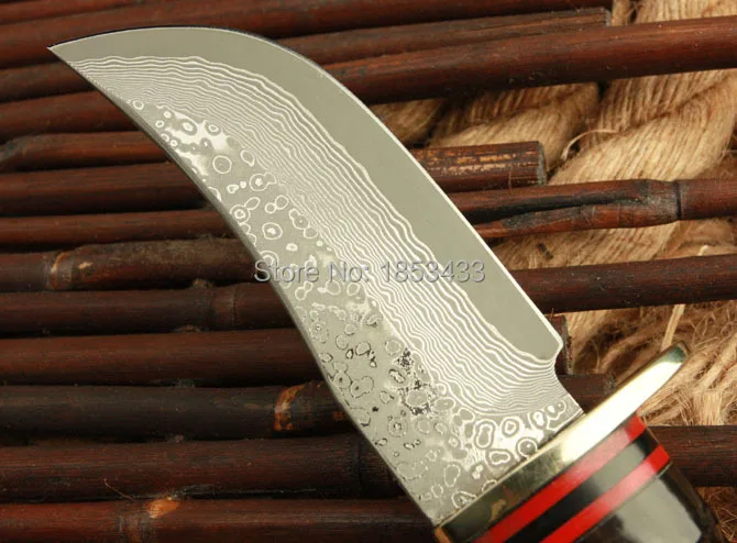 Дамаск Сталь охотничий нож фиксированным лезвием Открытый Отдых нож с дикими Cavel ручка прямой нож выжил