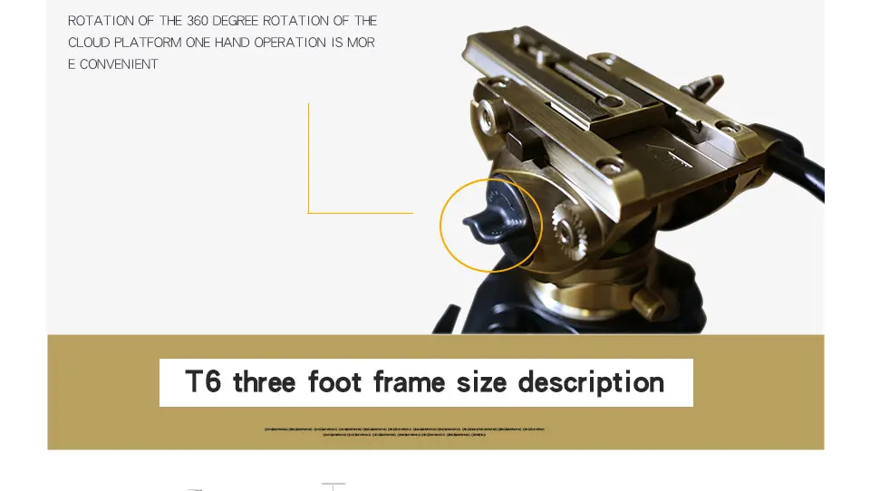 T6_23