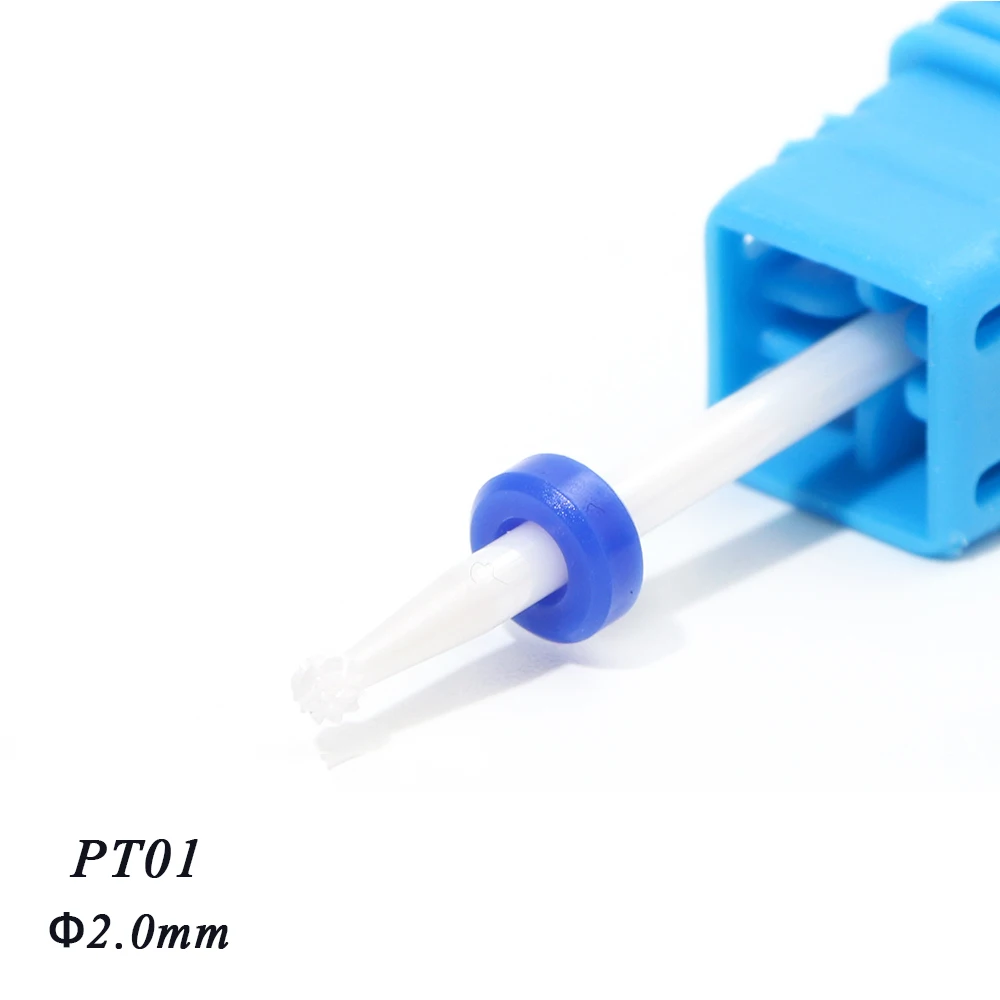 pt01