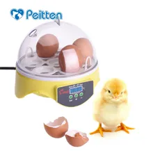 New Mini Brooder Egg Automatic Incubator Controller Poultry Hatchery Machine for Chicken Quail Birds Advance Hatching Incubator New Mini Brooder Egg Automatic Incubator Controller Poultry Hatchery Machine for Chicken Quail Birds Advance Hatching Incubator