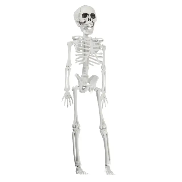 Online Shop Adult Skull Skeleton Horror Haunted House Simulation