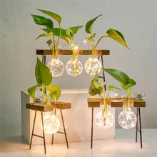 Террариум гидропонное растение прозрачная ваза с гирляндами деревянная полка ваза декор стекло Настольный завод Бонсай ваза для цветов