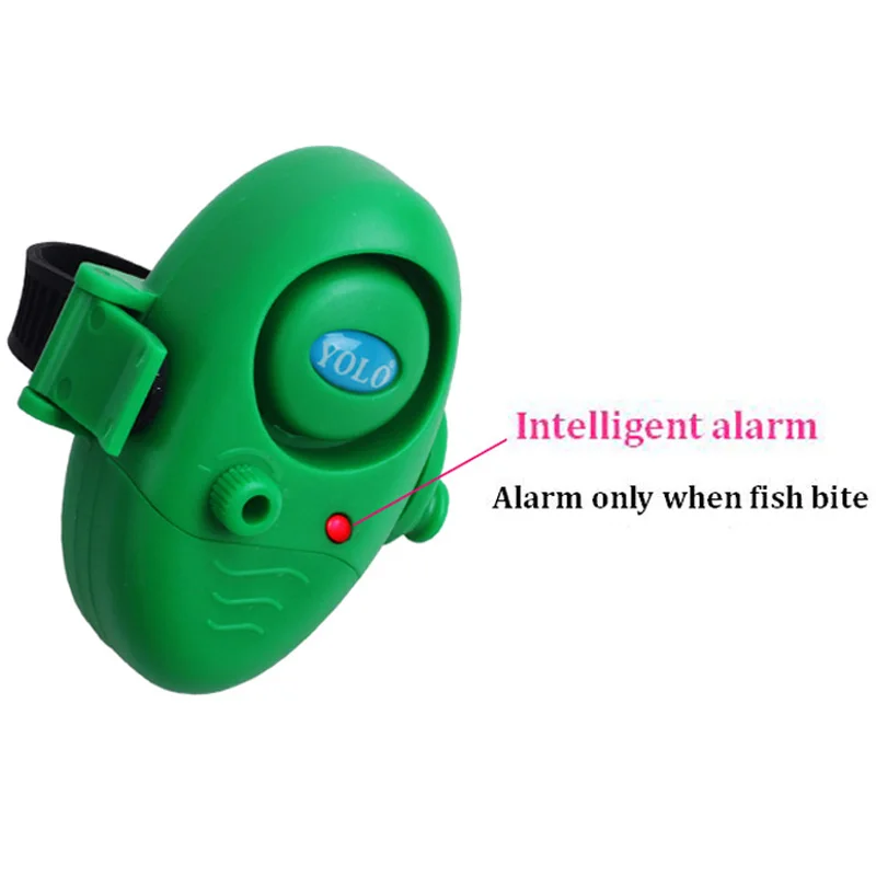 7979