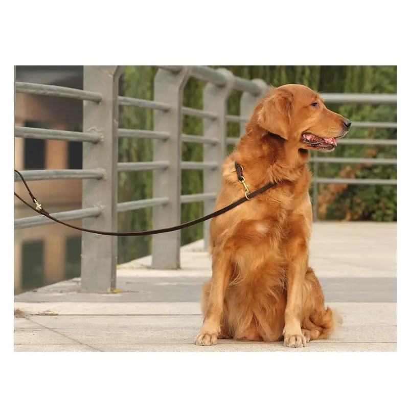 Многофункциональный поводок для собак из натуральной кожи, роскошный крепкий поводок для маленьких крупных животных 250x1,1 см