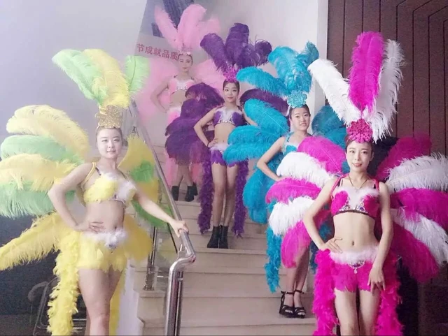 Womens Burlesque Costume  Flirty Pink Showgirl Costume for Women