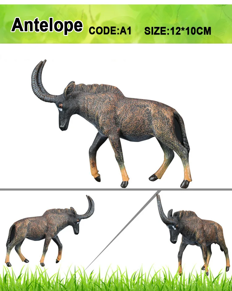 Antelope