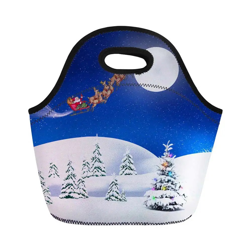 3 DCartoon Merry Christmas напечатаны женские непромокаемый мешок полиэстер пикника Tote мужские изолированные офисные Теплые сумки еды сумка для ланча - Цвет: LMHY0909Z20