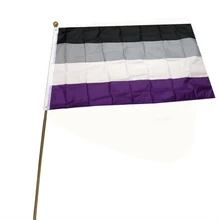 ЛГБТ Gay баннер 3*5 футов парад фестиваль Карнавал Asexual Pride флаг