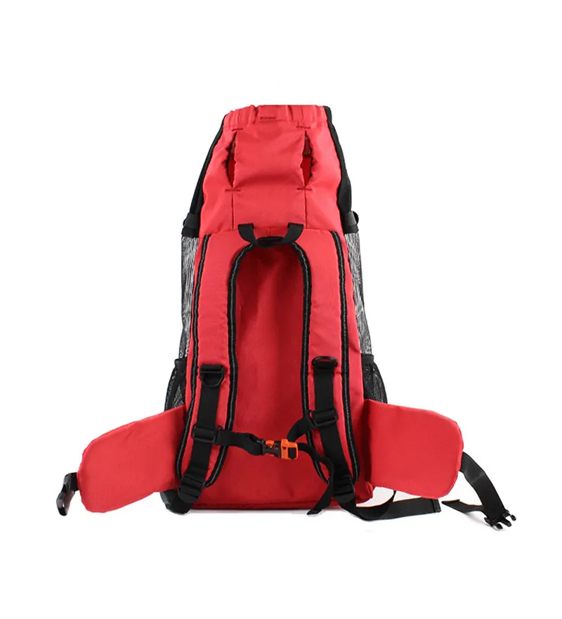 dog backpack (4)