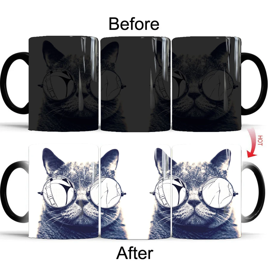cat01