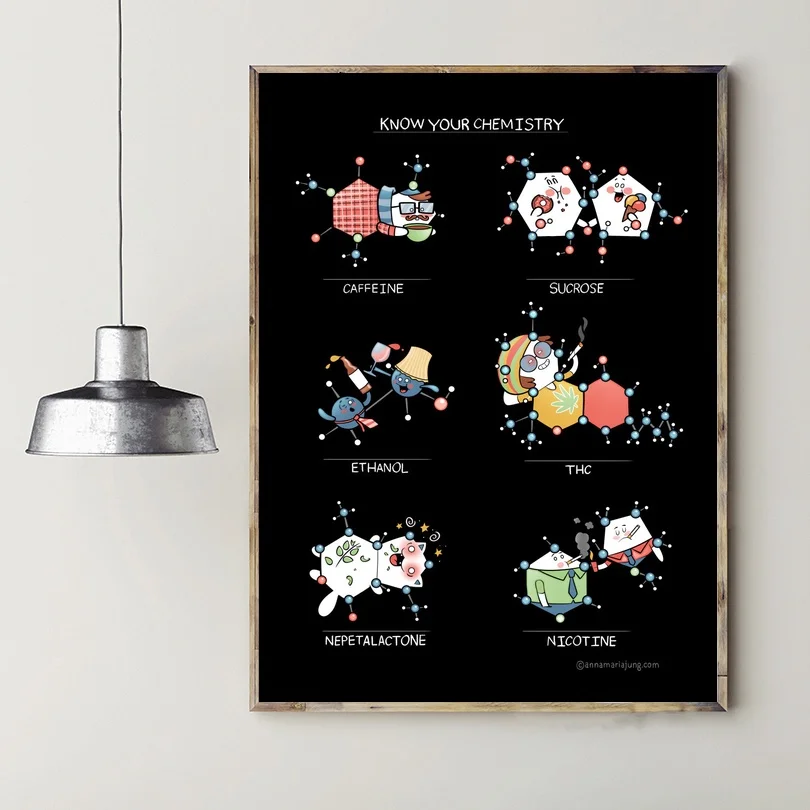 

Know Your Chemistry Art Poster Canvas Painting Wall Pictures For Living Room