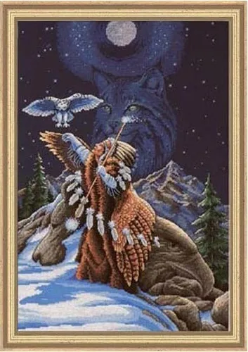 CS-1892 Cross Stitch Kit Sacred Connection Old Man Owl Starry Night dim 03869