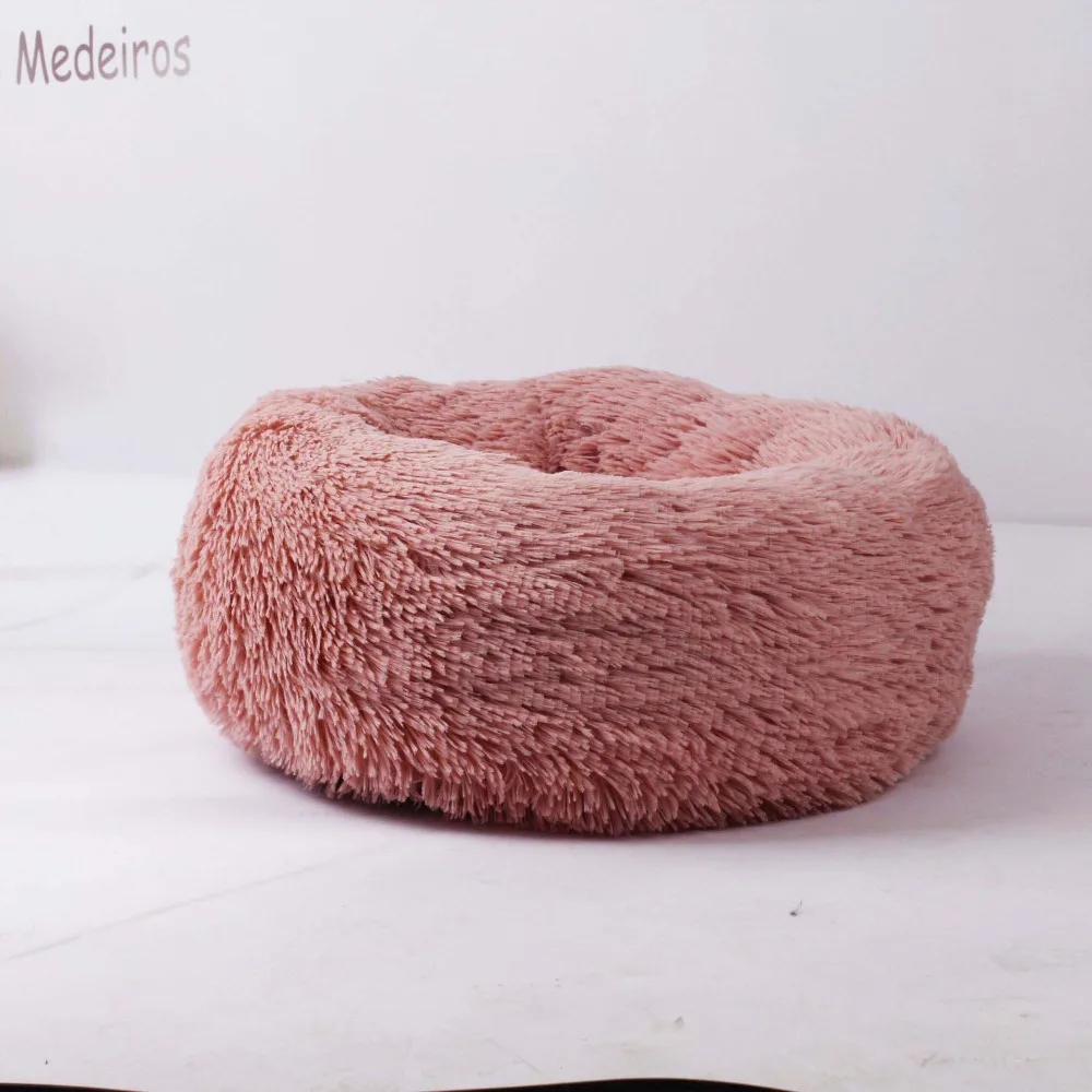 dog cat bed