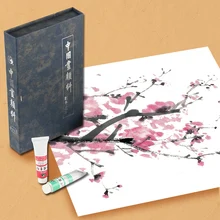 Надписью «Marie» чернила пигментная краска 12/18 Цвета Китайская традиционная живопись Краски комплект тонкая кропотливая работа пейзаж живопись, каллиграфия Краски