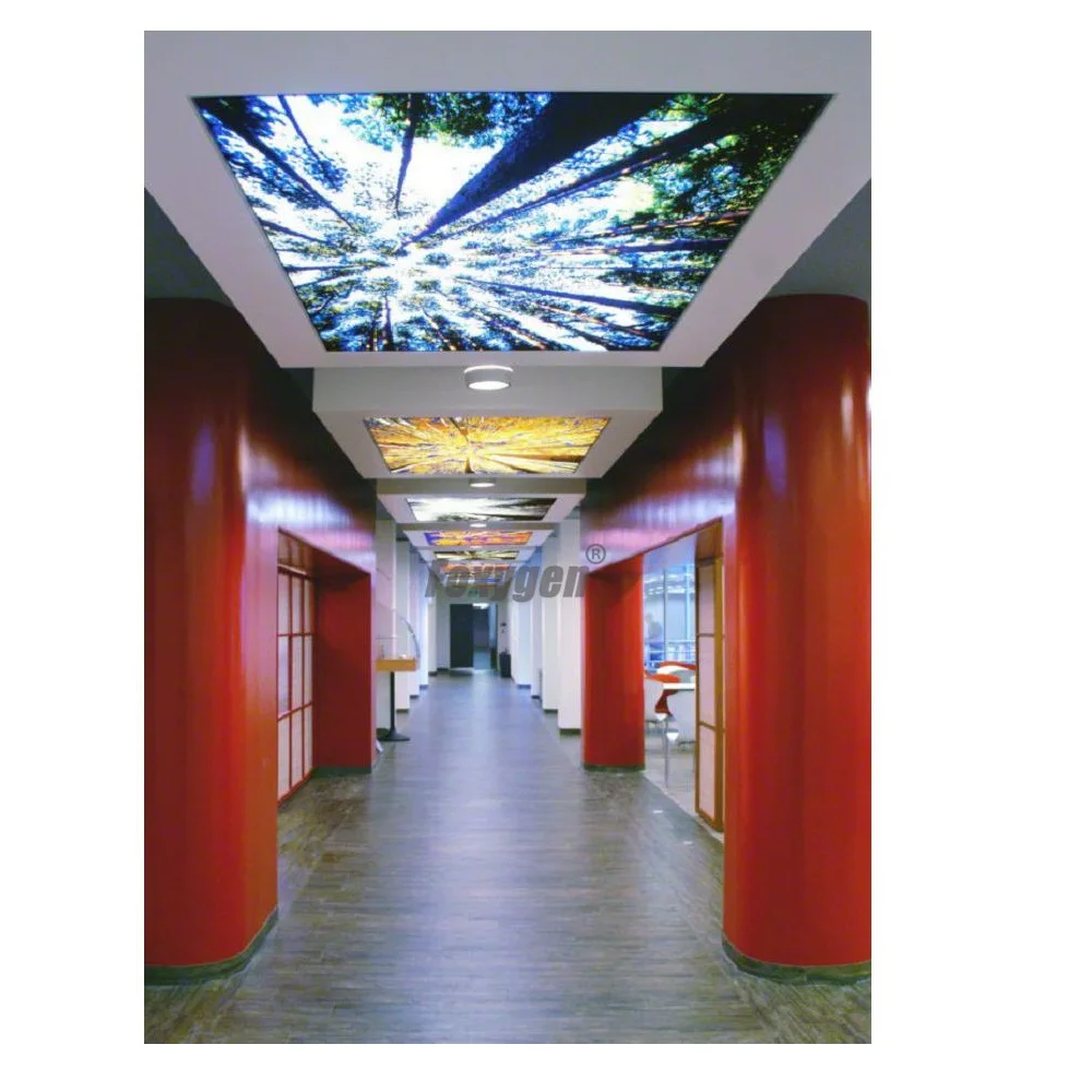 Nature Designs Digital Printed And Uv Printing False And Suspended