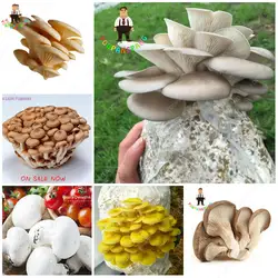 Лидер продаж 100 шт. различные смешанные съедобные грибы, pleurotus вкусные грибы штаммы растения бонсай фрукты овощи сад