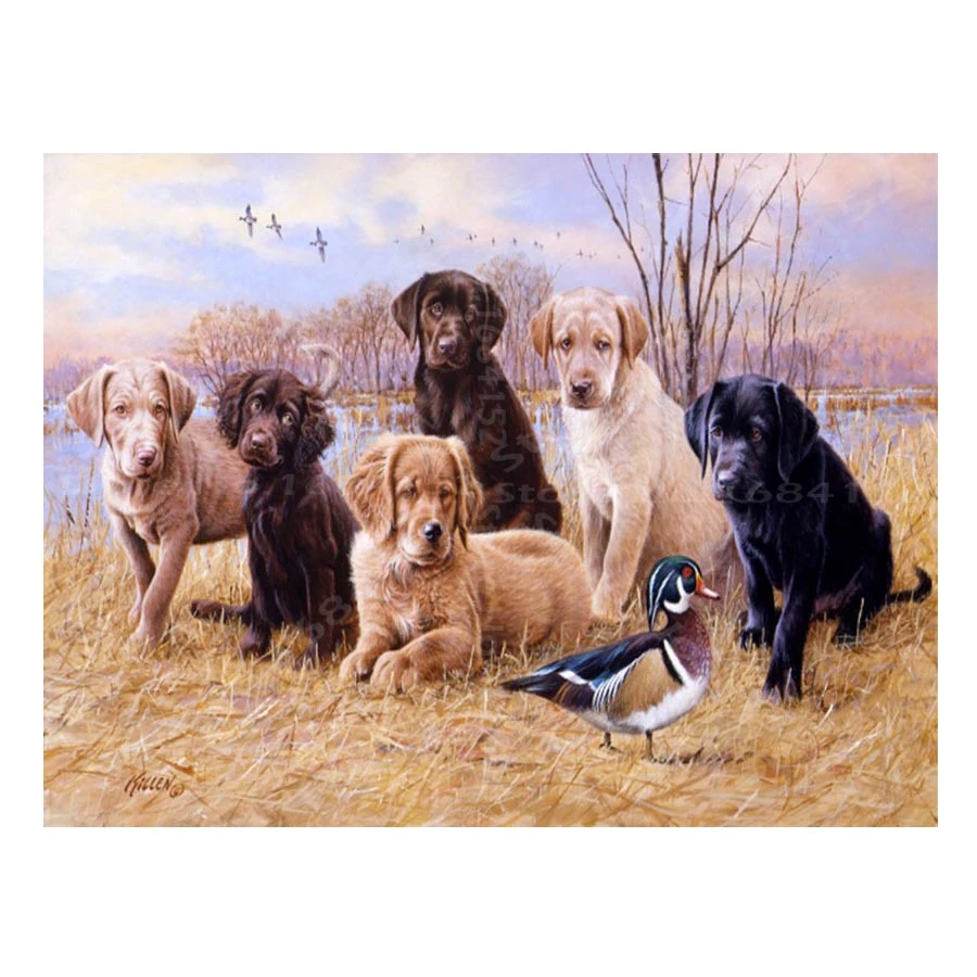 golden retriever cross small dog