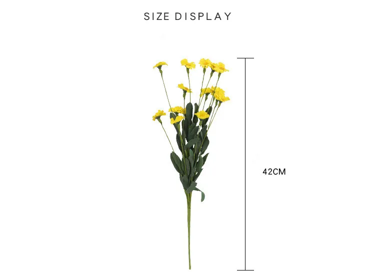 5503076899_1885843273