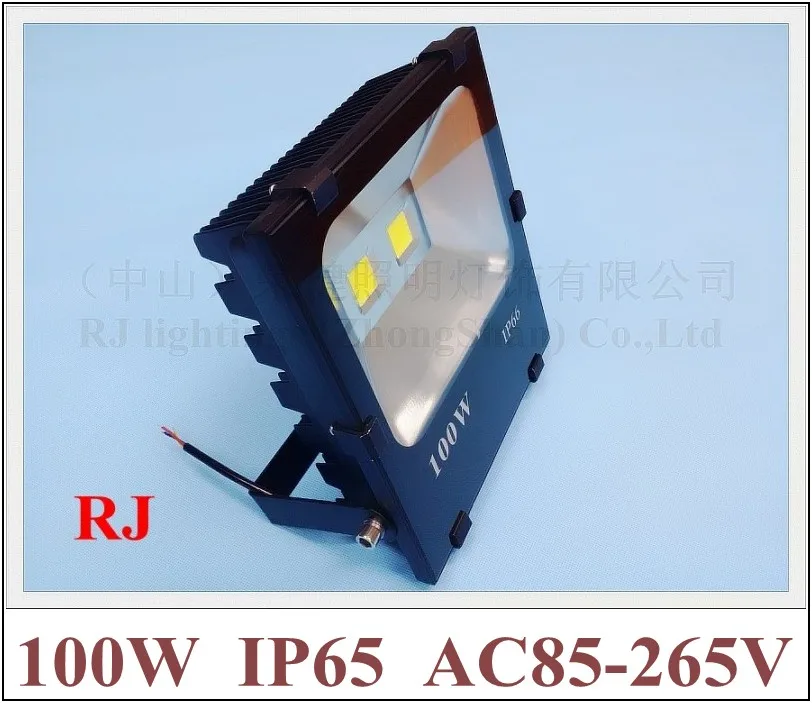

RONGJIAN(RJ) new radiator LED flood light spot lamp floodlight 100W (2*50W) COB AC85V-265V 10000lm for US and Asian countries