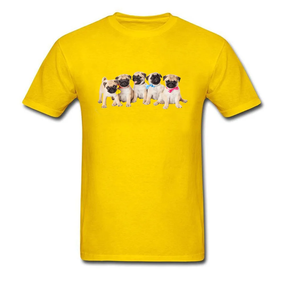 pugs-_yellow