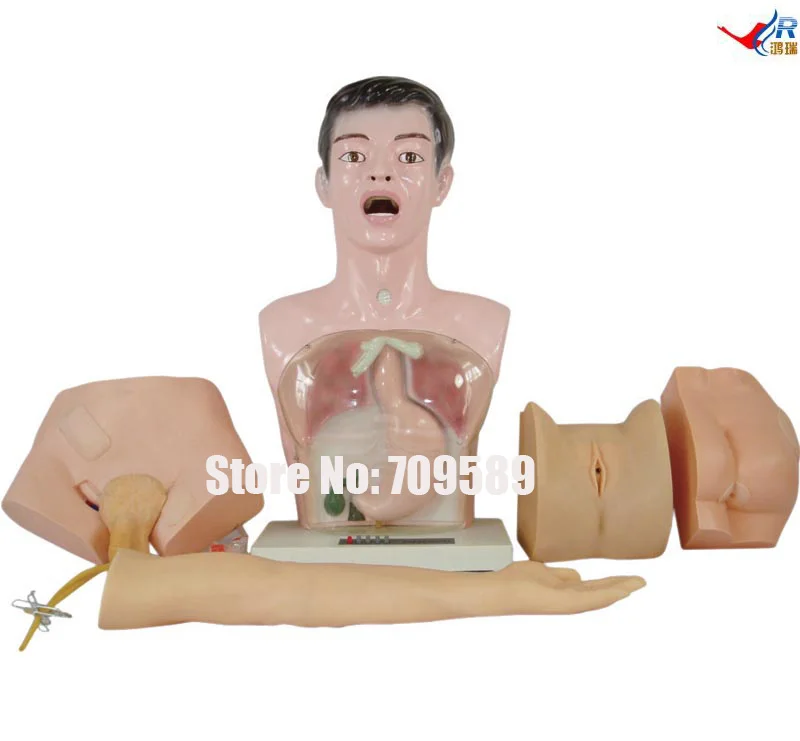 

Nurse Basic Practice Teaching Model