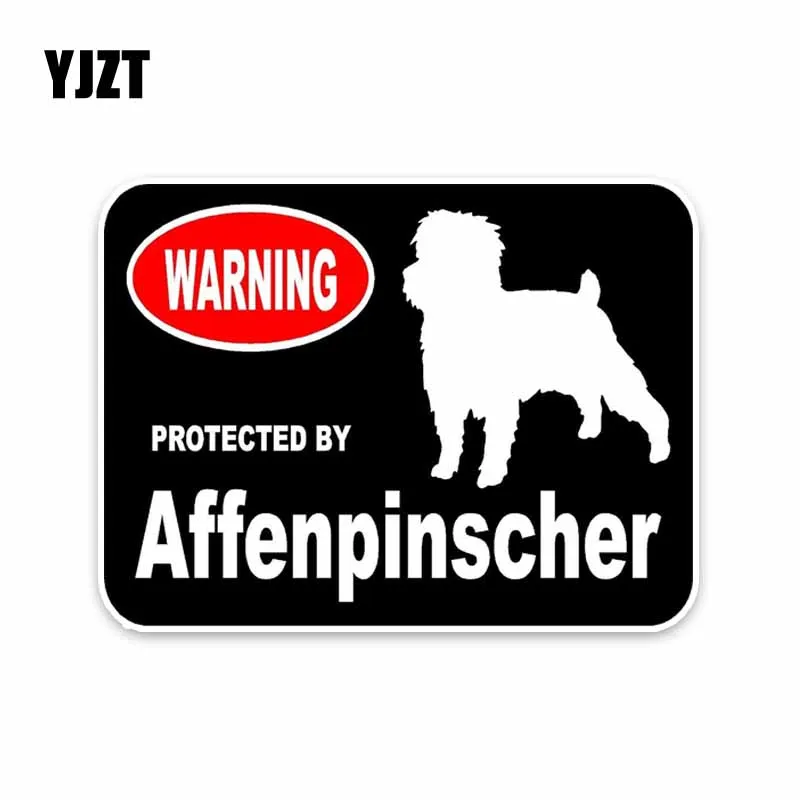 YJZT 15*11 3 СМ защищенные наклейки на бампер автомобиля Affenpinscher Dog | Автомобили и