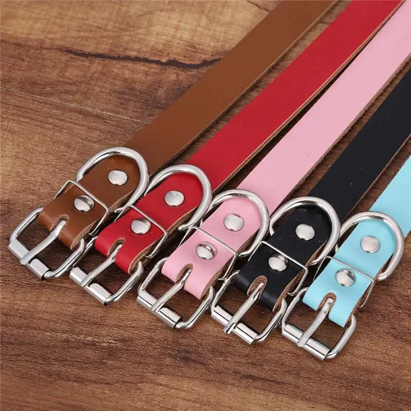 leather collars for large dogs