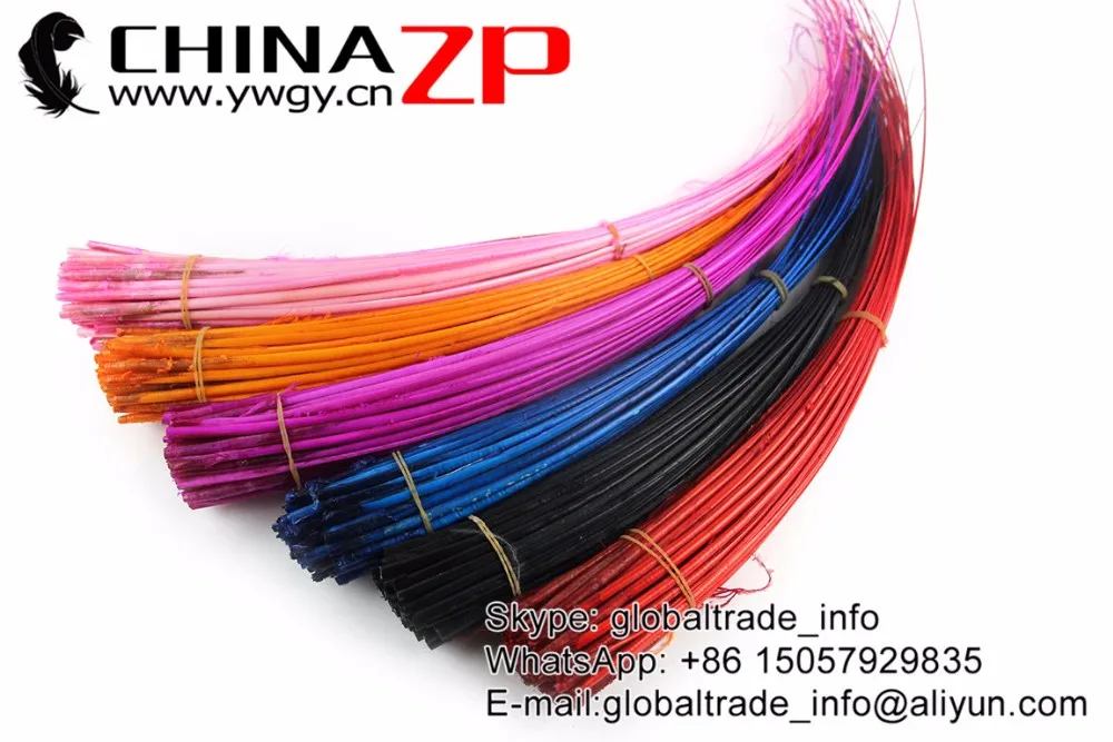 Mix Ostrich Quill Spines (1)