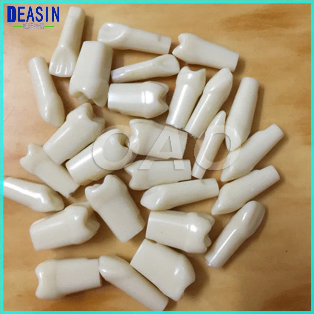 Peças de Reposição Aprendizagem Modelo Dentes Substituir Conjunto 28 Pcs – 32 Teeth Ensino