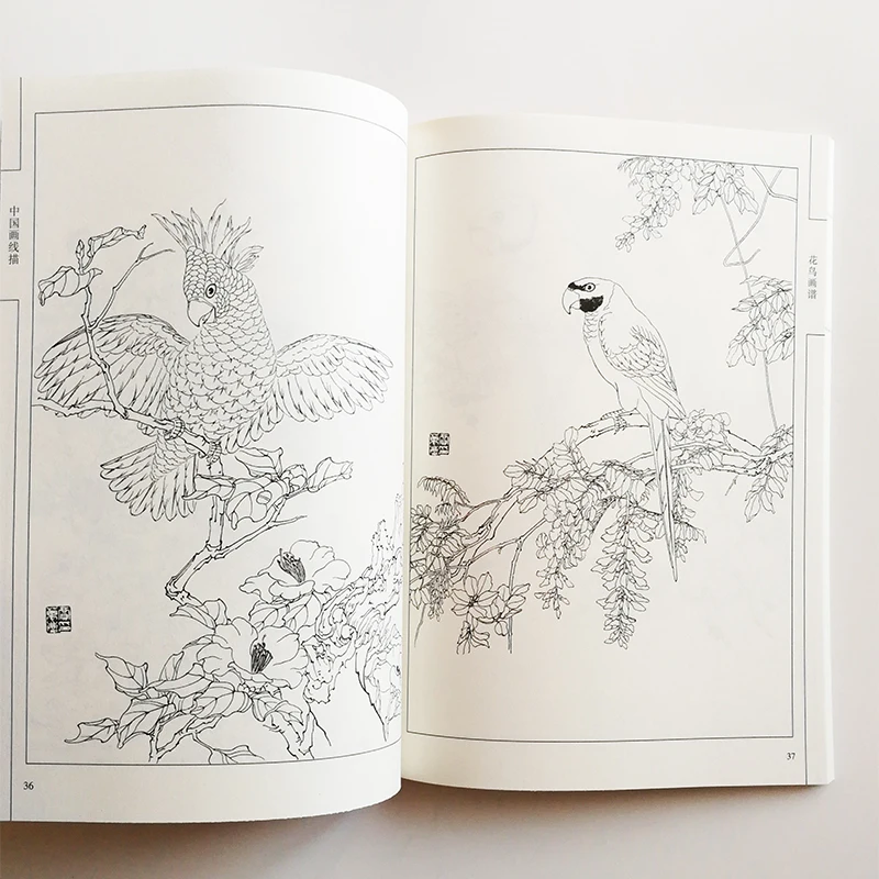 94Pages Flowers and Birds Painting Collection Art Book Coloring Book for Adults Relaxation and Anti-Stress Painting Book 94Pages Flowers and Birds Painting Collection Art Book Coloring Book for Adults Relaxation and Anti-Stress Painting Book
