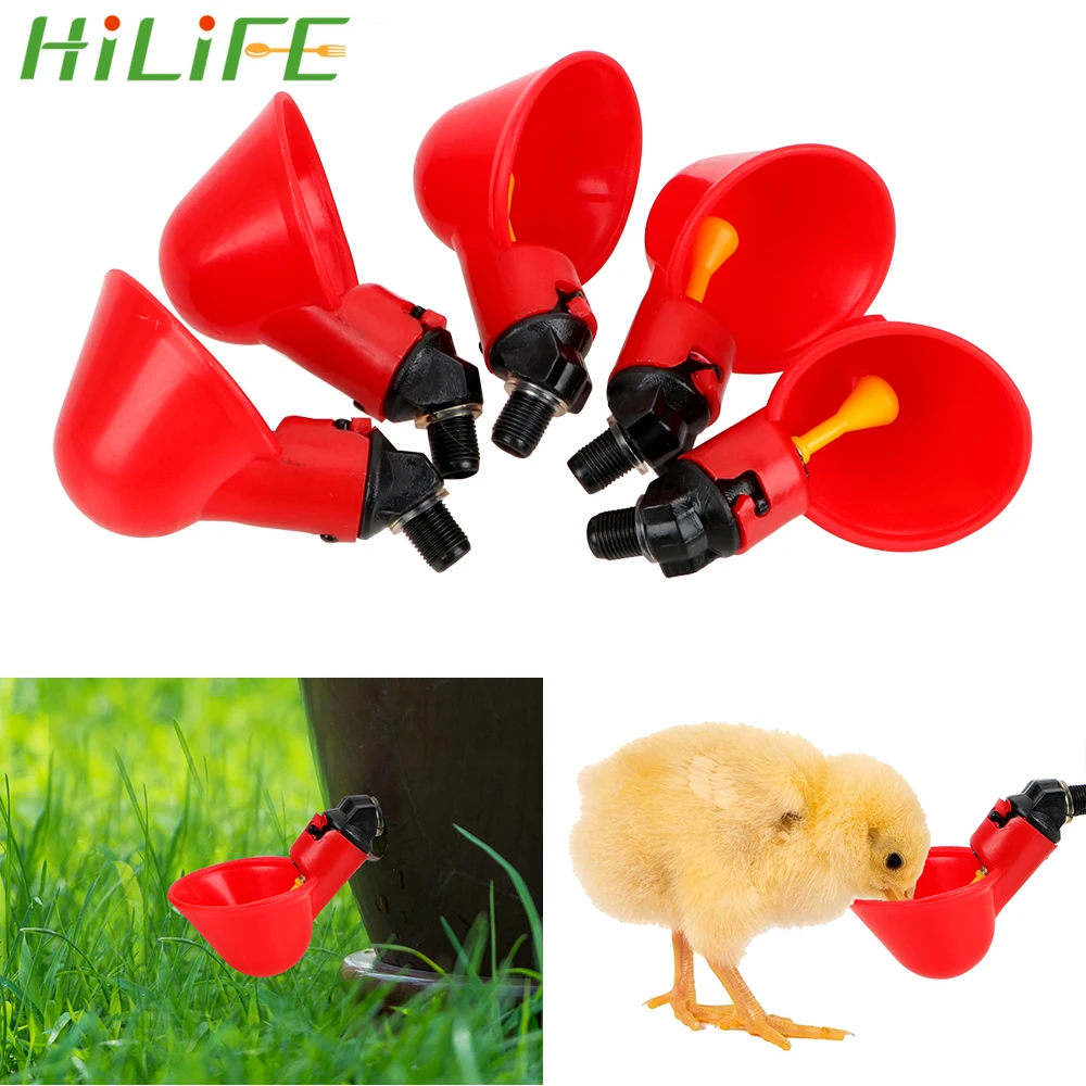 

HILIFE Bird Poultry husbandry tools Chicken drinking Cups 5 Pcs Automatic Bird Coop Feeder Quail waterer bowls