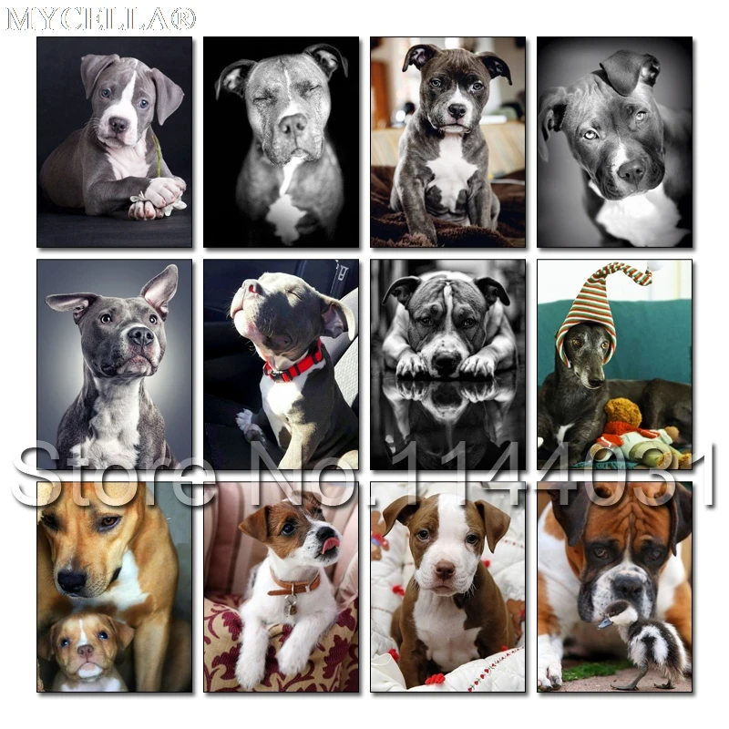 

Animal Dog Needlework 5D Diamond Embroidery American Pit Bull Terrier Full Mosaic Diy Diamond Painting Cross Stitch Home Decor