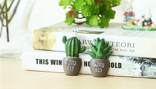 Cute Cactus Succulent Plants Fridge Magnets - 4