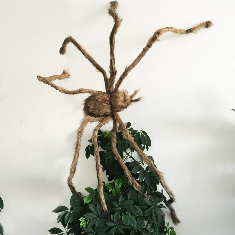  Giant Hairy Spider  (2)