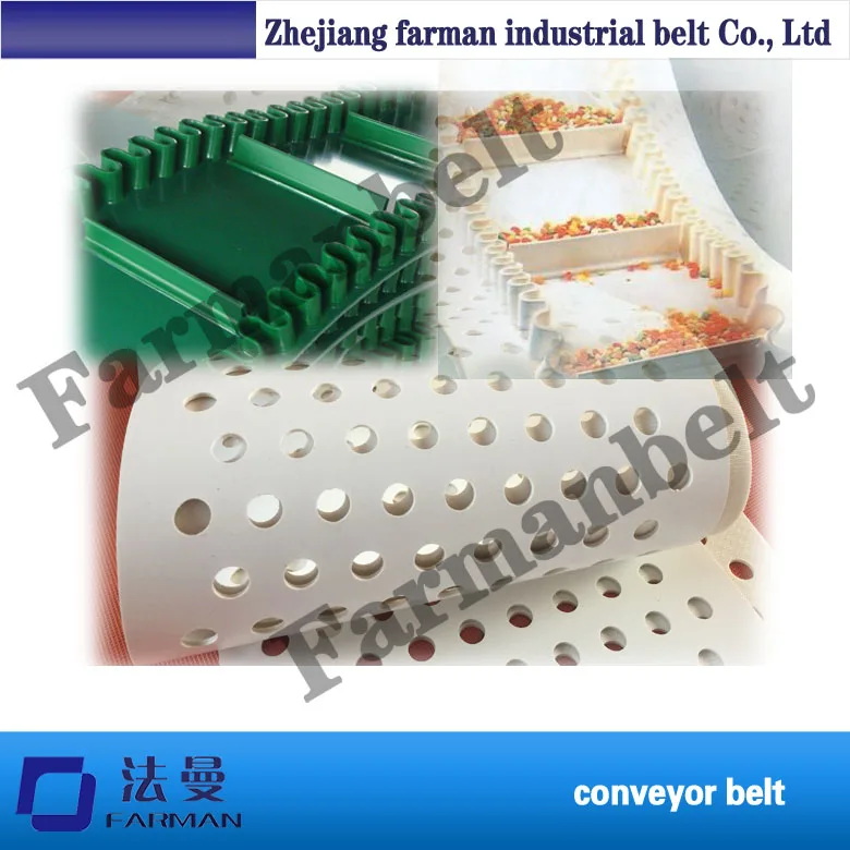 Raised Edge/Sidewall Conveyor Belt For Food