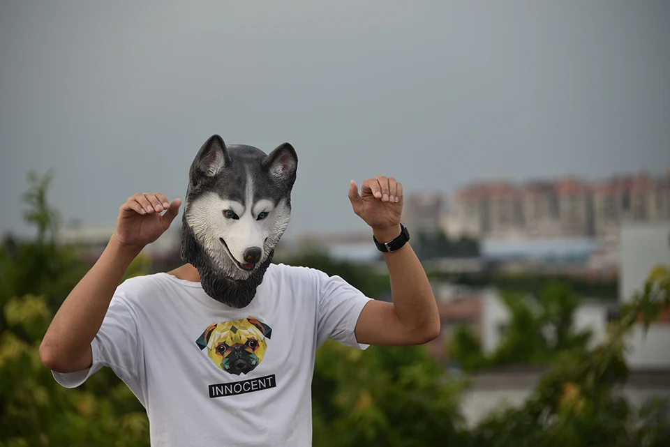 DSC_0878