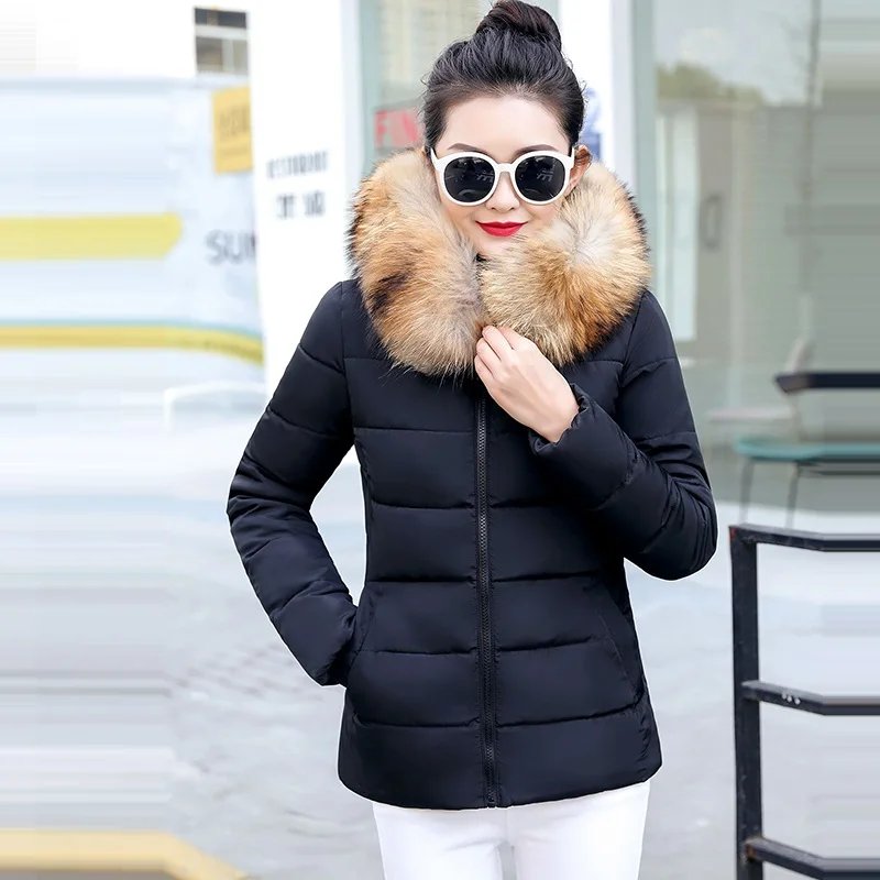 Женская куртка и пальто, осенняя с меховым воротником, с капюшоном, хлопковая стеганая зимняя куртка, женская короткая верхняя одежда, Студенческая теплая Базовая куртка - Цвет: Brown fur  black