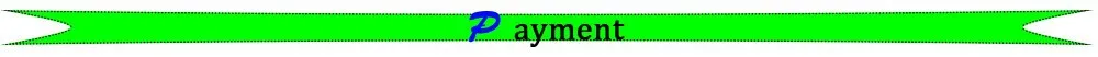 payment1