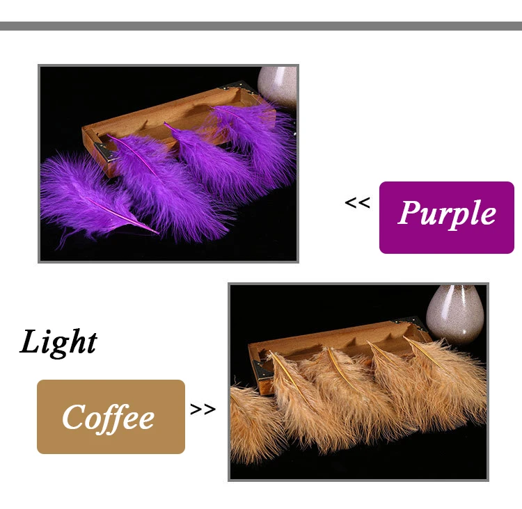 3195467231_1022353483