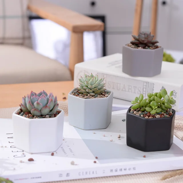 4pcs/set Matt Decorative Hexagon Flowerpot Mini Ceramic Succulent Plant Pots Desktop Flower Pot Bonsai Planter