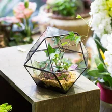 Pastoral Tabletop Creative Glass Geometric Plant Succulent Flower Pot Decoration Container Bonsai Flowerpot Terrarium Planter